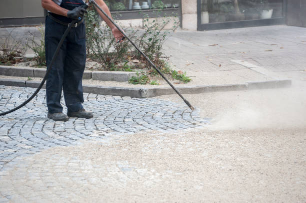 Best Sidewalk and Walkway Cleaning  in East Oakdale, CA
